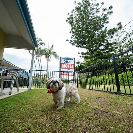 Woolgoolga Coast Motel Room photo